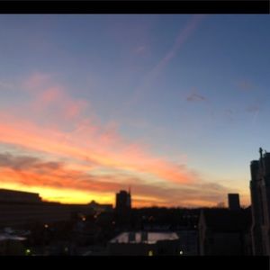 Meet your Posher, Alex